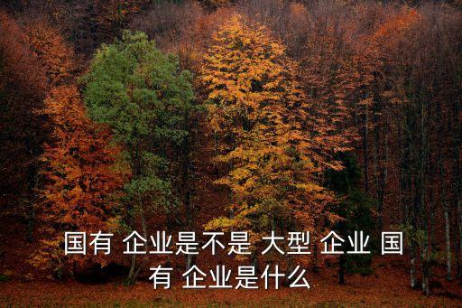  國有 企業是不是 大型 企業 國有 企業是什么