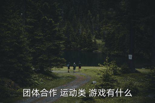 團體合作 運動類 游戲有什么