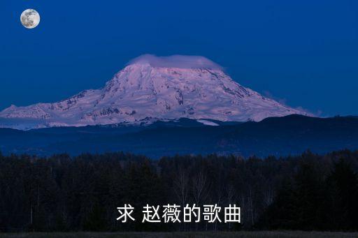 趙薇的歌,趙薇最美的一首歌是《發(fā)現(xiàn)》