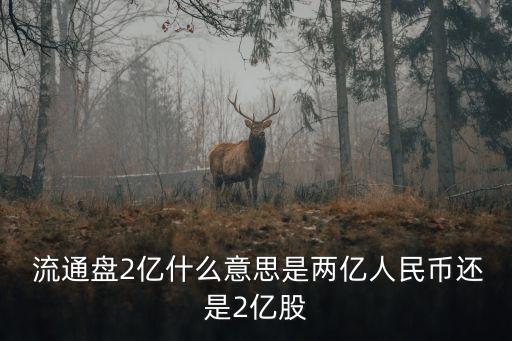 流通盤是什么意思