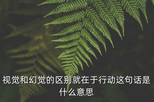 視覺和幻覺的區別就在于行動這句話是什么意思