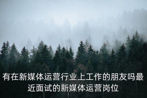 有在新媒體運營行業上工作的朋友嗎最近面試的新媒體運營崗位