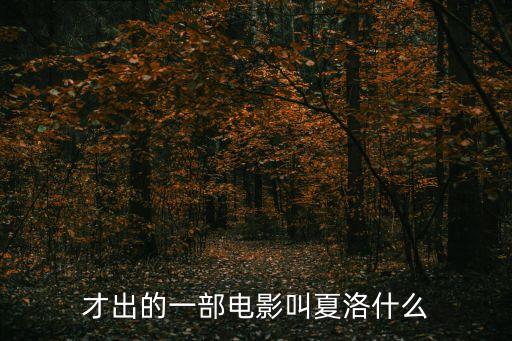 夏洛特煩惱豆瓣，看了夏洛特的煩惱這部電影真心很感動電影說是喜劇但是給我影