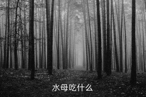 水母吃什么