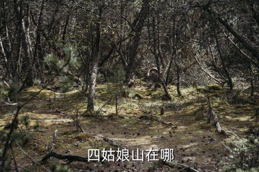 四姑娘山旅游,四姑娘山簡介女兒山四座連綿不斷的山峰組成