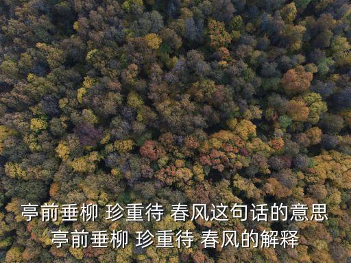 珍重待春風(fēng),亭前垂柳珍重候春風(fēng)出自《九九寒地勢(shì)圖》