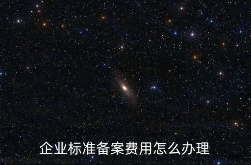 企業標準備案費用怎么辦理