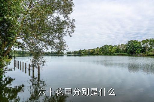 六十花甲分別是什么