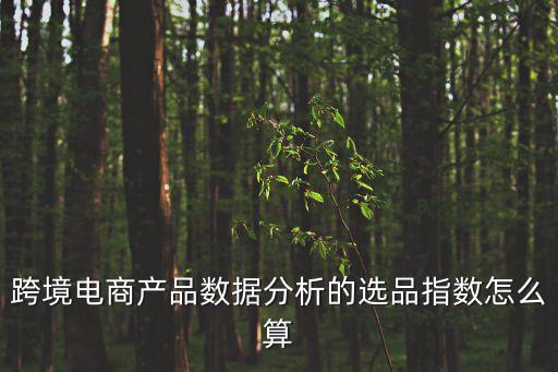 跨境電商產品數據分析的選品指數怎么算