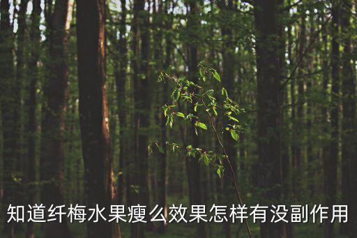 知道纖梅水果瘦么效果怎樣有沒副作用