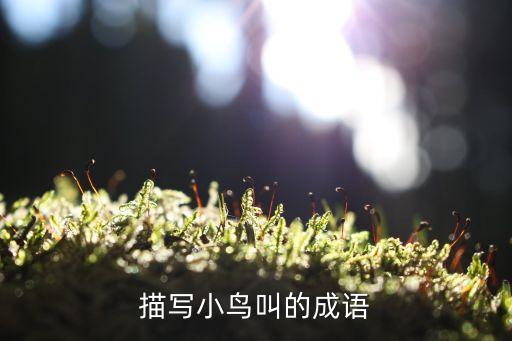 描寫小鳥叫的成語