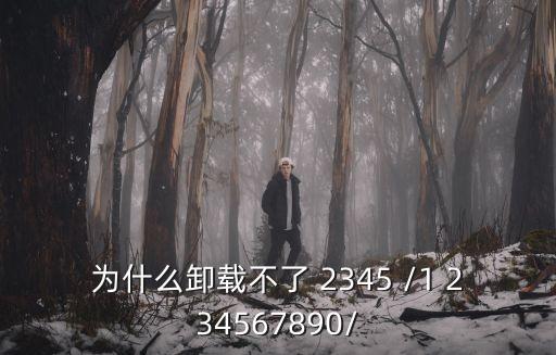 為什么卸載不了 2345 /1 234567890/