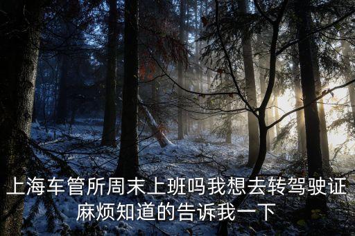 上海車管所周末上班嗎我想去轉駕駛證麻煩知道的告訴我一下