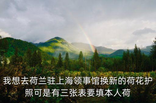 我想去荷蘭駐上海領事館換新的荷花護照可是有三張表要填本人荷