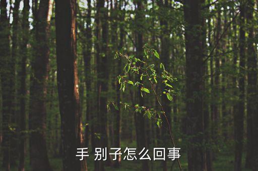 手 別子怎么回事