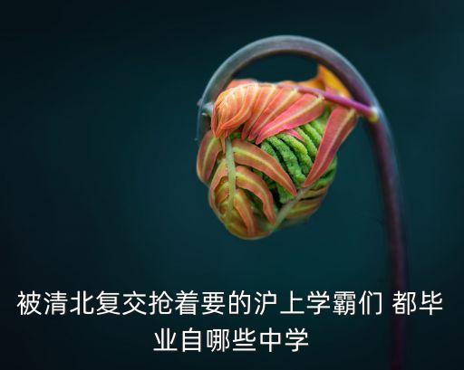 上海市高中學校北清交復，復旦附中每年考上北清復交的人數