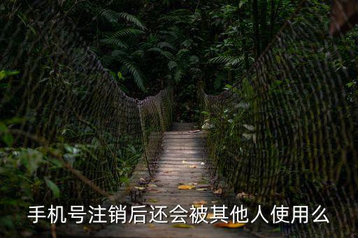 手機號注銷后還會被其他人使用么