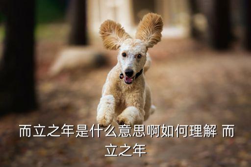  而立之年是什么意思啊如何理解 而立之年