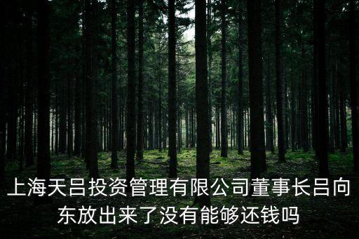 上海天呂投資管理有限公司董事長呂向東放出來了沒有能夠還錢嗎