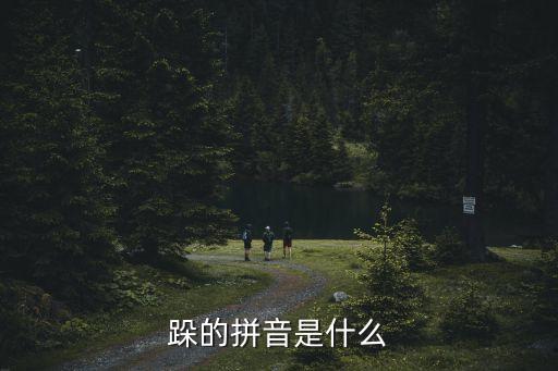 跺字組詞,第八集:第二集:腳踏車騎士和騎士