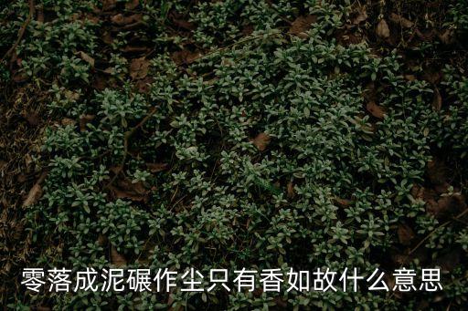 零落成泥碾作塵只有香如故，零落成泥碾作塵 只有香如故是什么意思