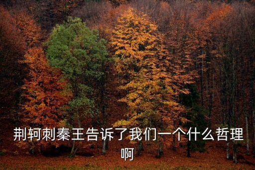 我眼中的荊軻,荊軻刺死秦王典故出自司馬遷筆記