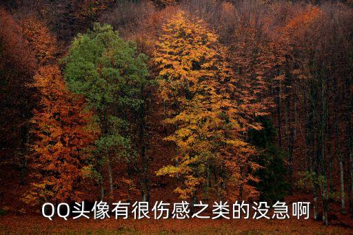 QQ頭像有很傷感之類的沒急啊