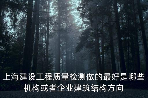 上海建設工程質量檢測做的最好是哪些機構或者企業建筑結構方向
