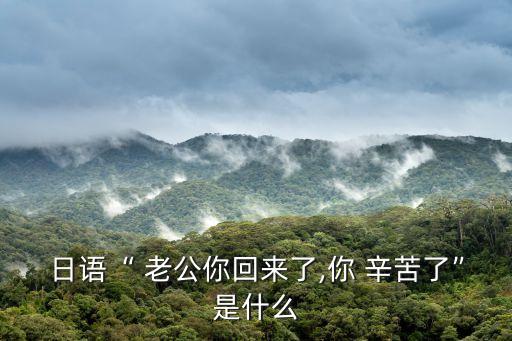 日語“ 老公你回來了,你 辛苦了”是什么