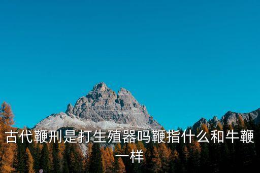 鞭打陰部,我國古代刑罰中有鞭刑但不是刑罰