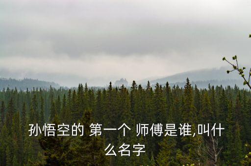  孫悟空的 第一個 師傅是誰,叫什么名字