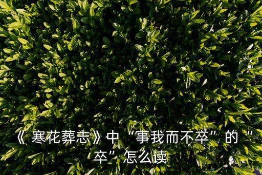 寒花葬志,名與卒本義相同!