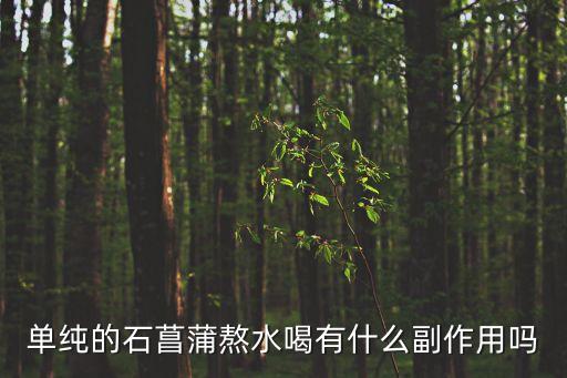 單純的石菖蒲熬水喝有什么副作用嗎