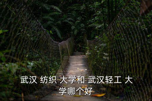  武漢 紡織 大學和 武漢輕工 大學哪個好