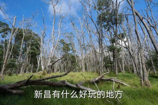 新昌旅游，新昌有什么好玩的地方