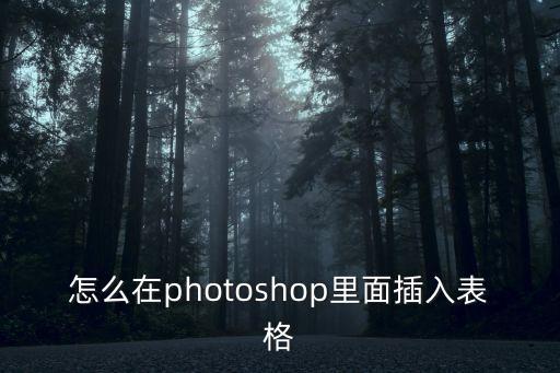 怎么在photoshop里面插入表格