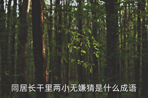 同居長干里兩小無嫌猜是什么成語