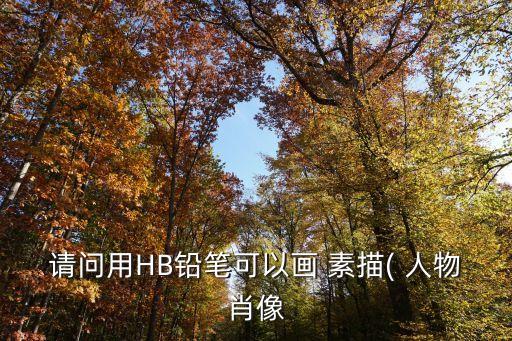 人物肖像畫素描,人像素描一幅有價值嗎?