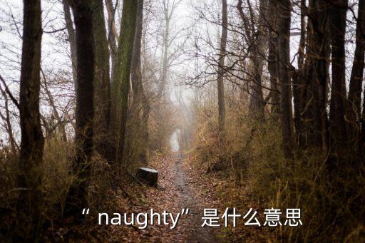 “ naughty”是什么意思