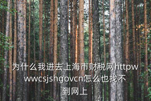 上海市財稅官方網站，為什么我進去上海市財稅網httpwwwcsjshgovcn怎么也找不到網上