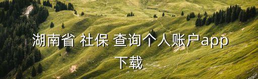 湖南省社保查詢,湖南社保繳費明細查詢