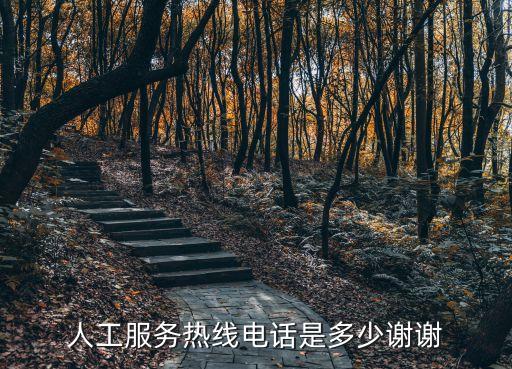 人工服務(wù)熱線電話是多少謝謝
