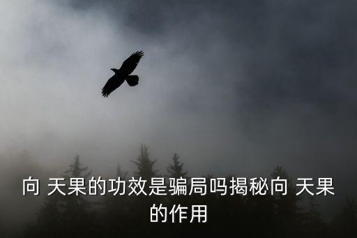 向 天果的功效是騙局嗎揭秘向 天果的作用