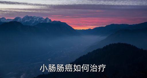 小腸癌，小腸腸癌如何治療