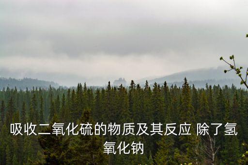 吸收二氧化硫，吸收二氧化硫的物質及其反應 除了氫氧化鈉