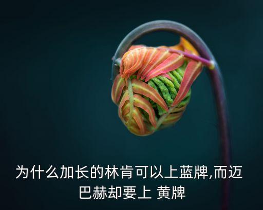 邁巴赫為什么掛黃牌,電動車為何掛黃牌?原因何在?