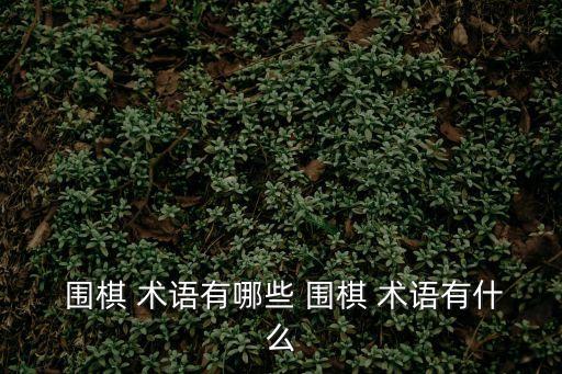 圍棋術語,從無到有的棋局分析