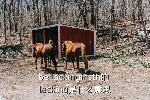 be lackinginsth的 lacking是什么意思