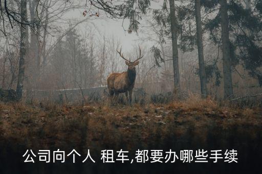 單位租車,租車注意事項:仔細了解租車條款保險不容忽視