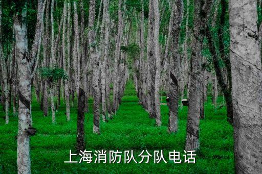 上海消防隊(duì)分隊(duì)電話
